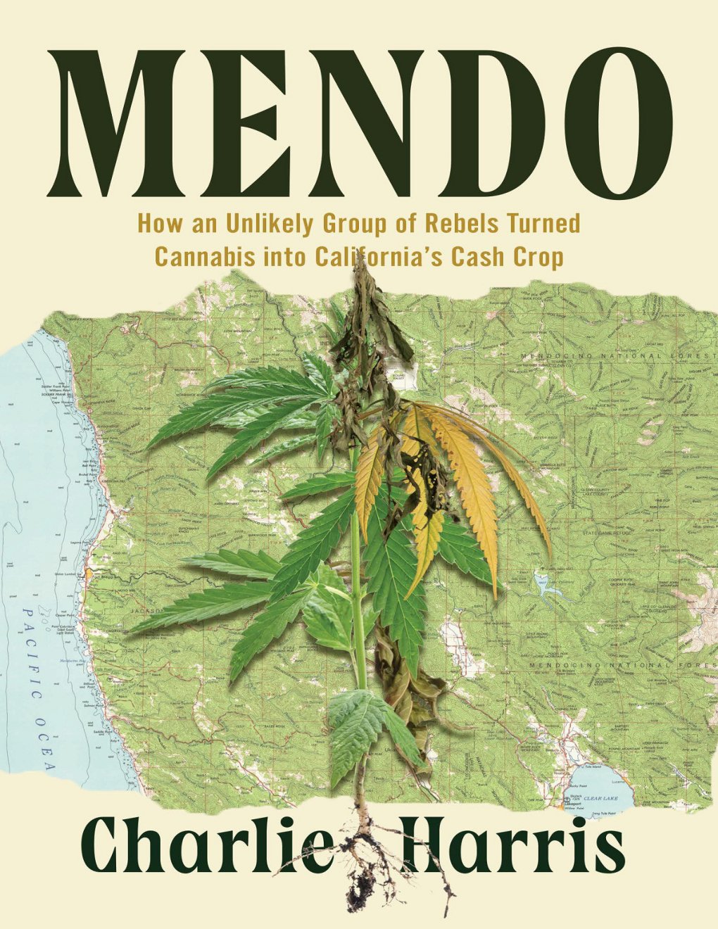 Cover of Mendo