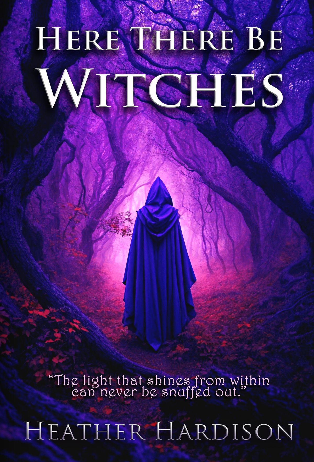 Cover of Here There Be Witches (1645)