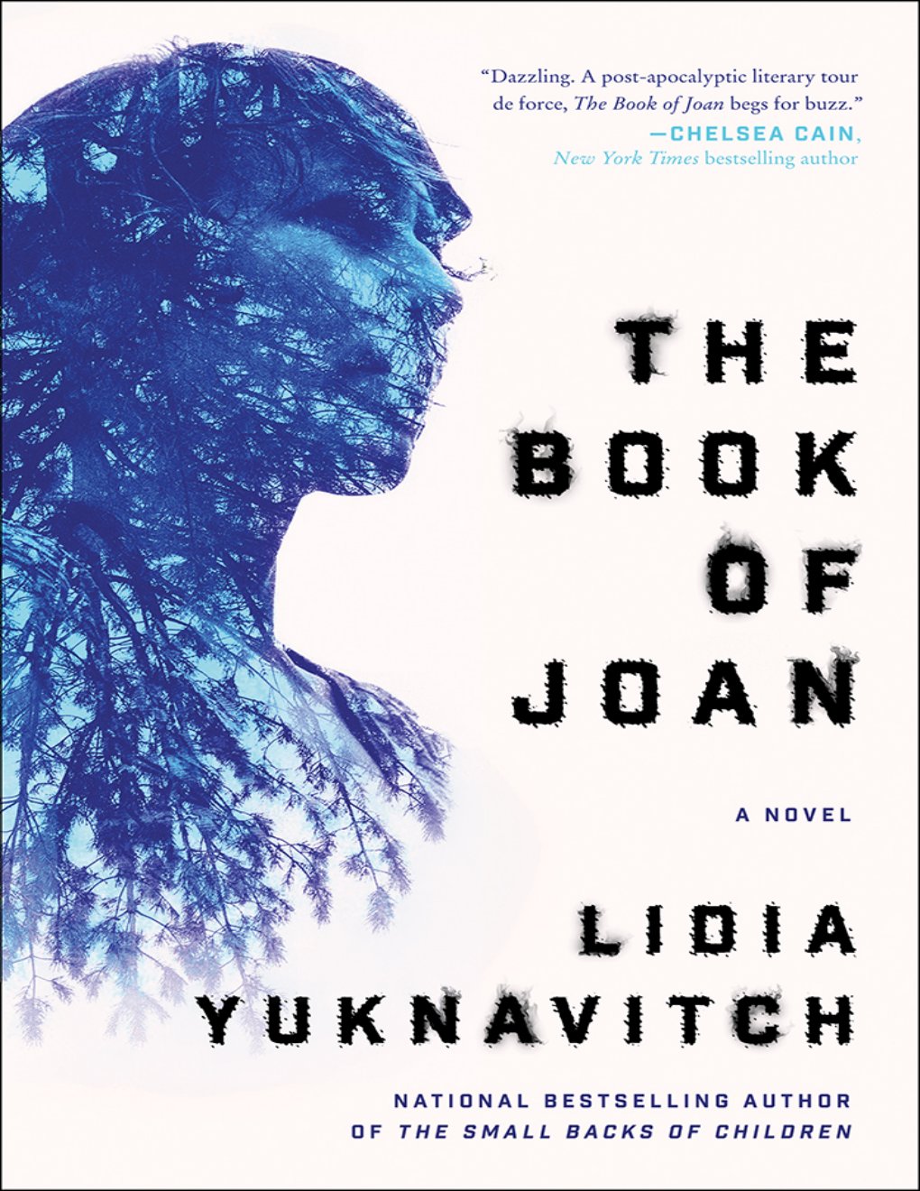 Cover of The Book of Joan