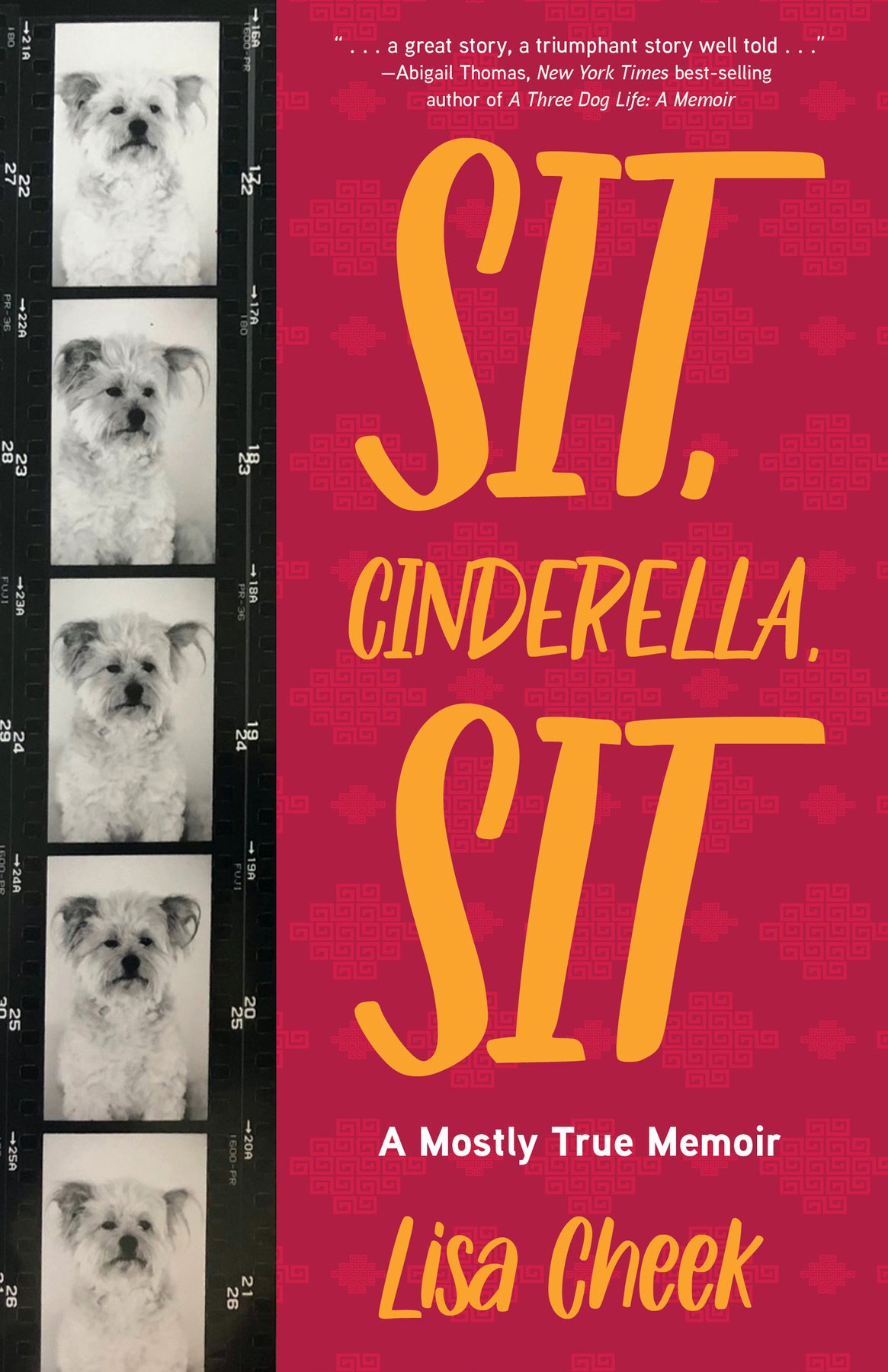 Cover of Sit, Cinderella, Sit (1569)