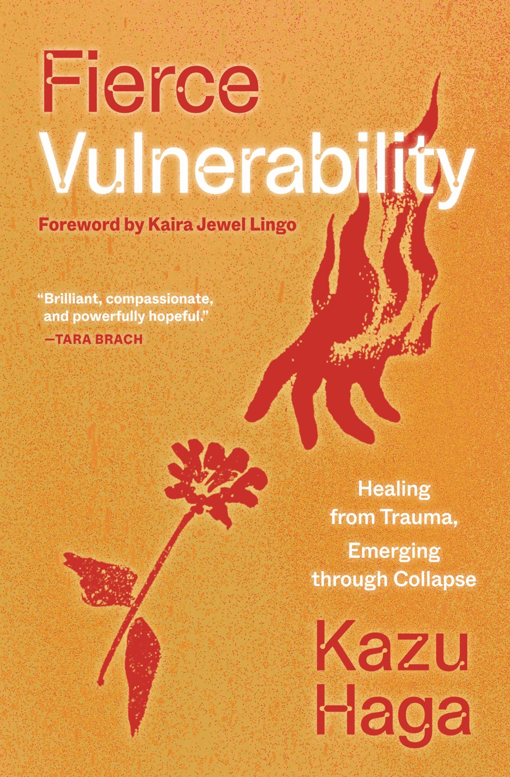 Cover of Fierce Vulnerability