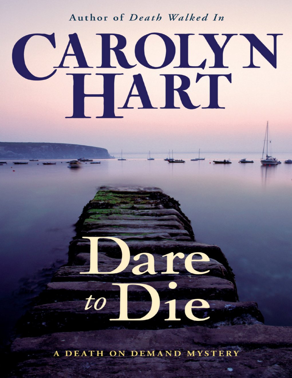 Cover of Dare to Die