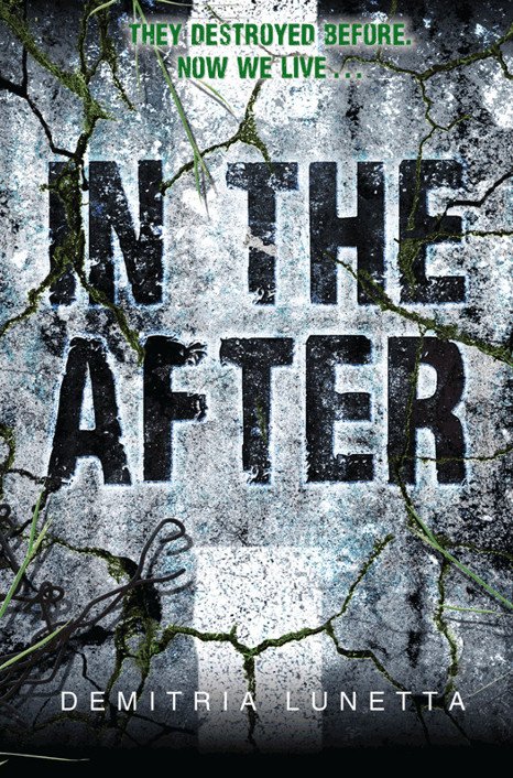 Cover of In the After