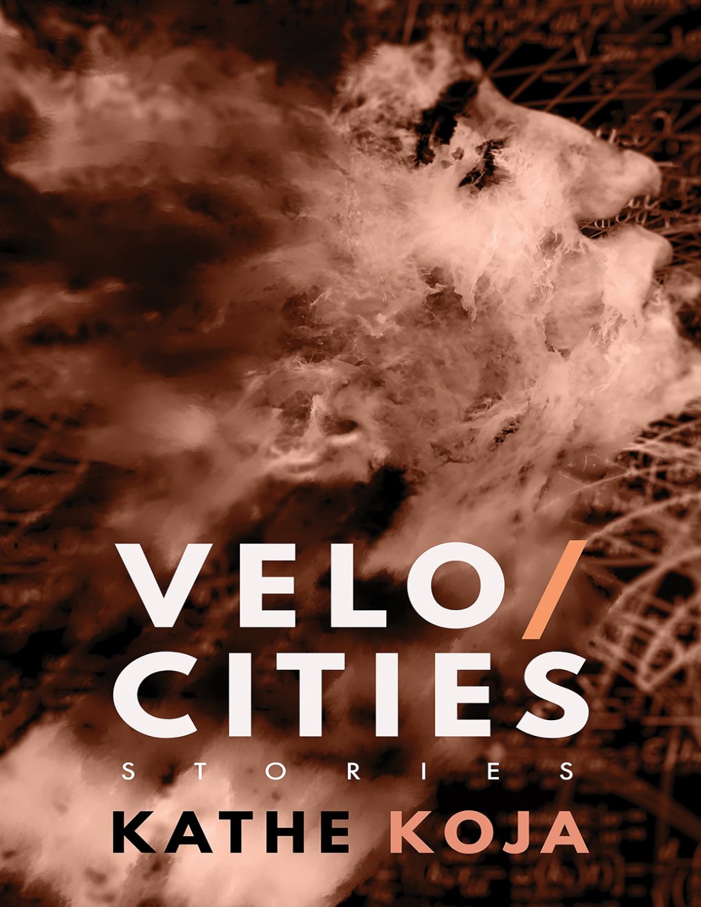 Cover of Velocities