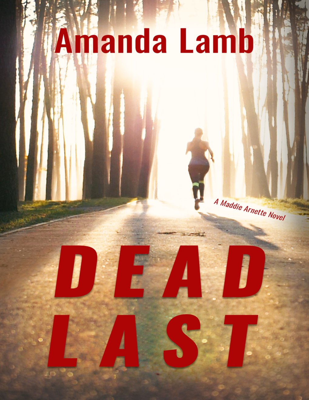 Cover of Dead Last