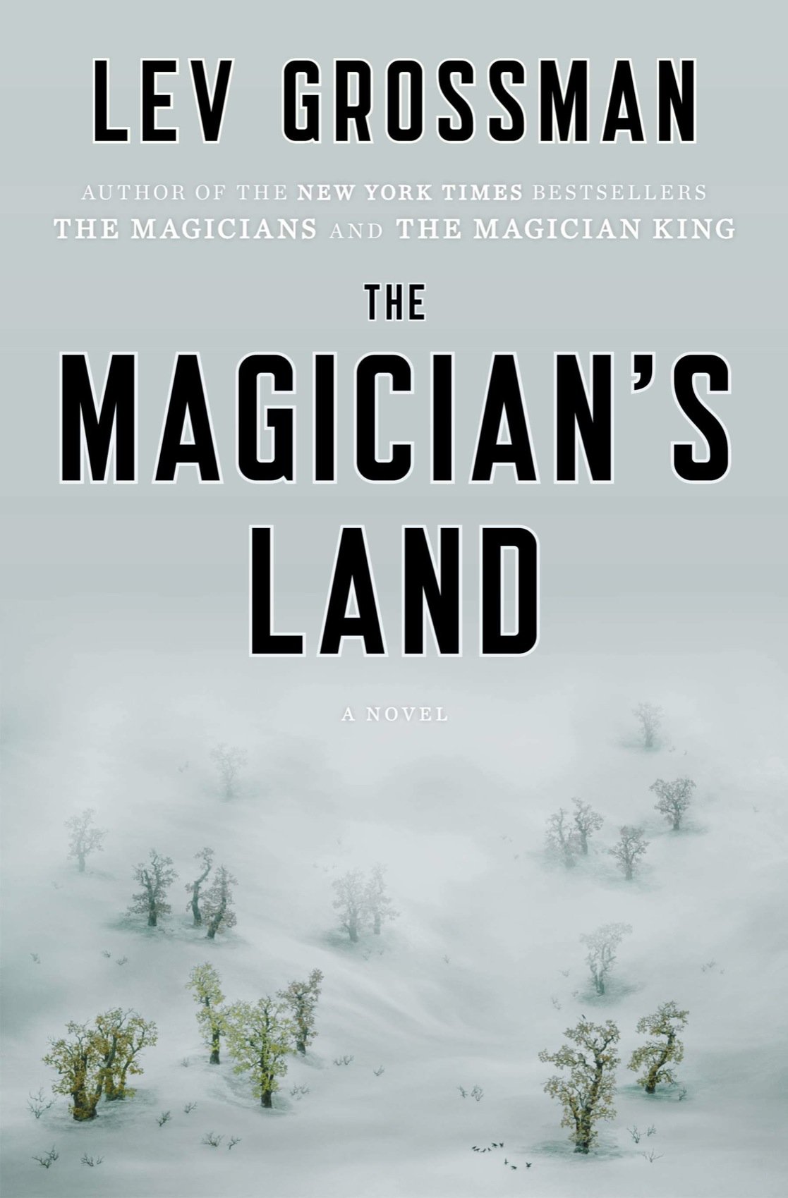 Cover of The Magician's Land (2014)
