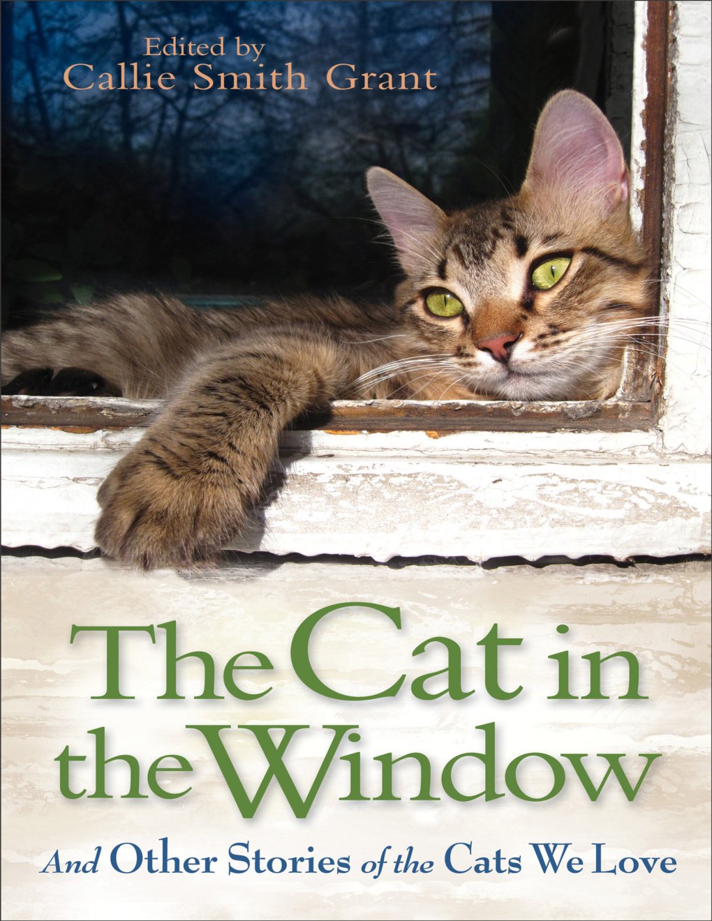 Cover of The Cat in the Window