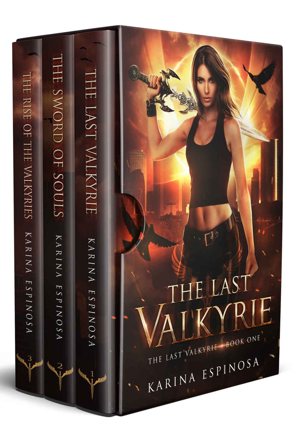 Cover of The Last Valkyrie Series Complete Boxed Set (2020)