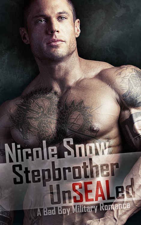 Cover of Stepbrother UnSEALed