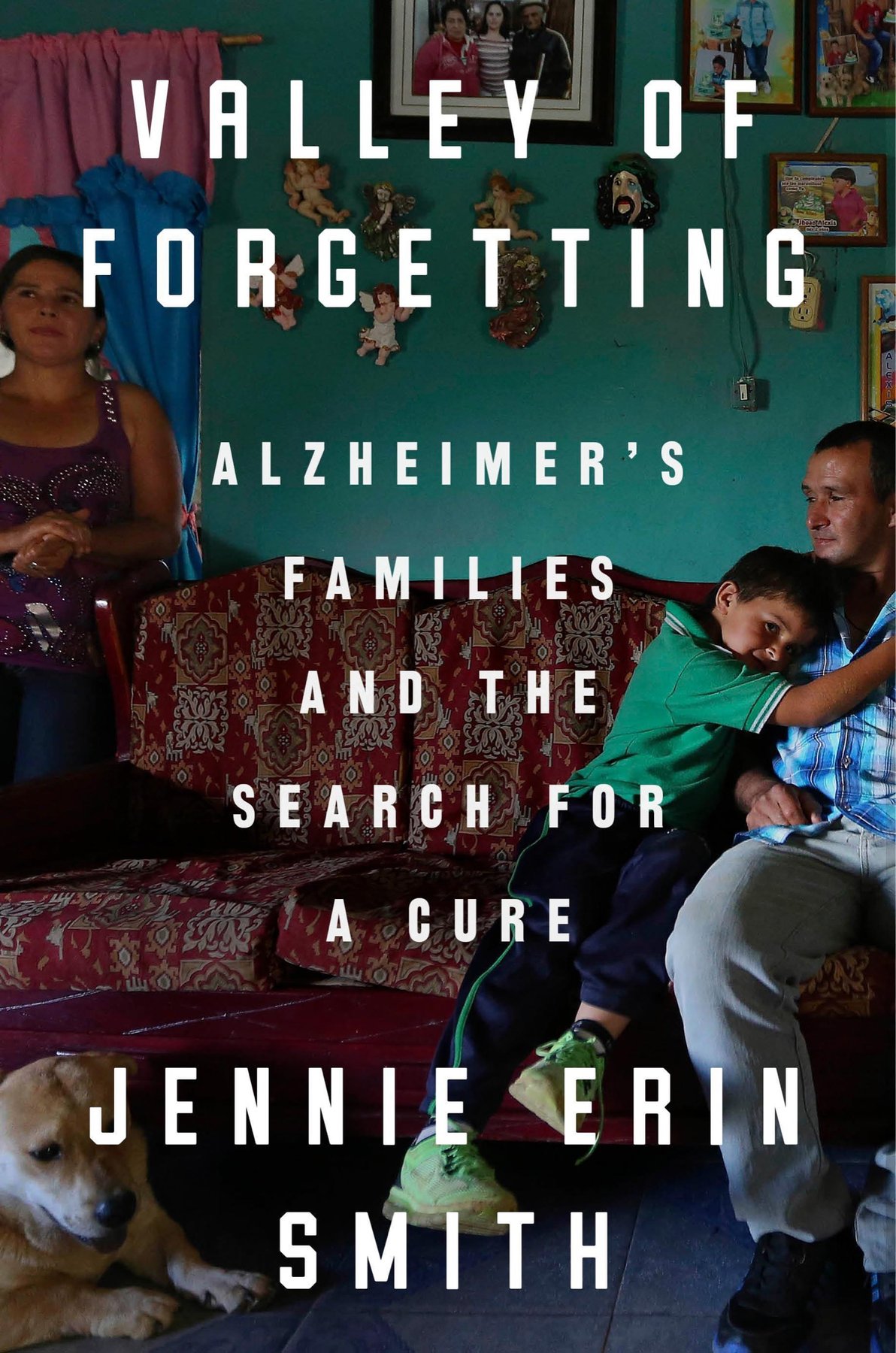 Cover of Valley of Forgetting
