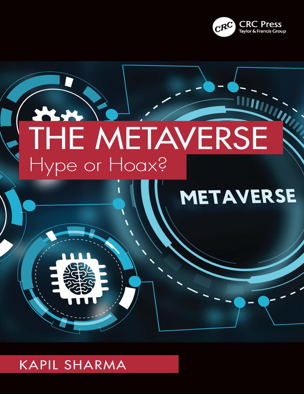 Cover of The Metaverse; Hype or Hoax?