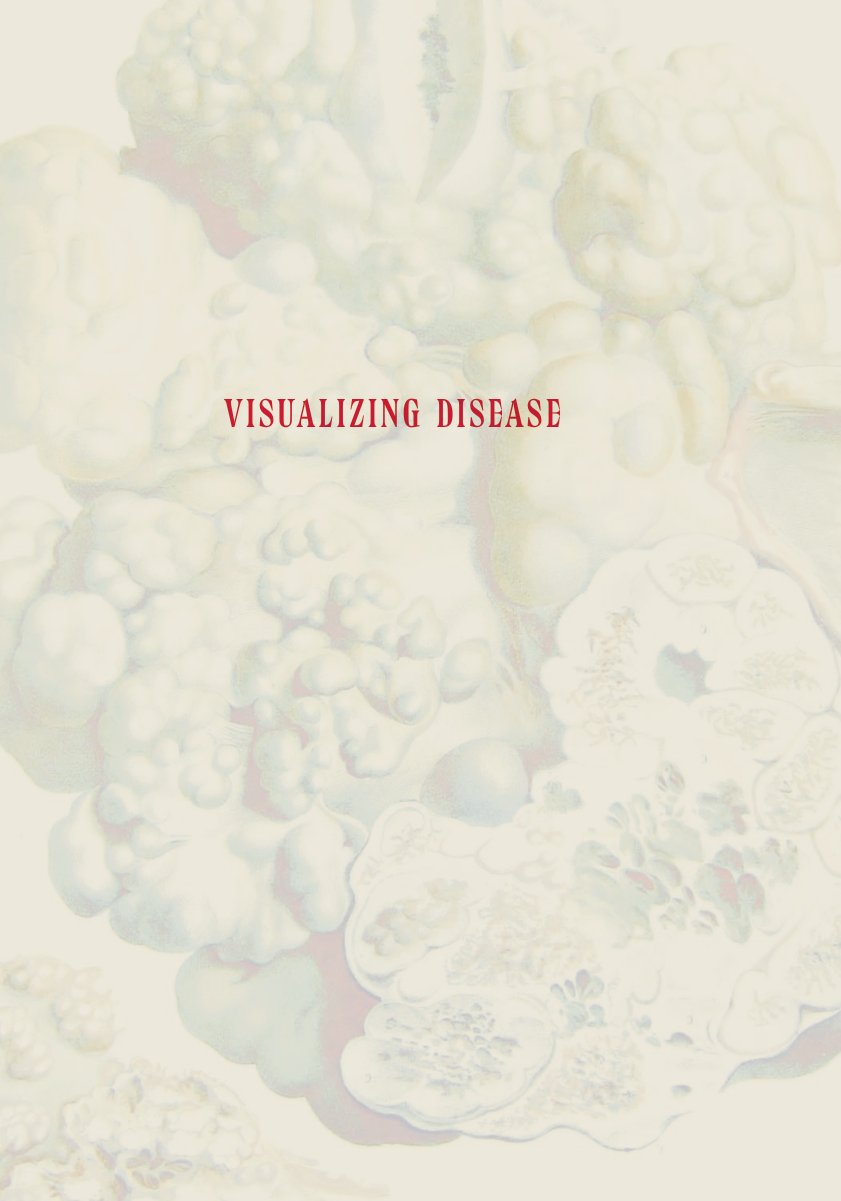 Cover of Visualizing Disease