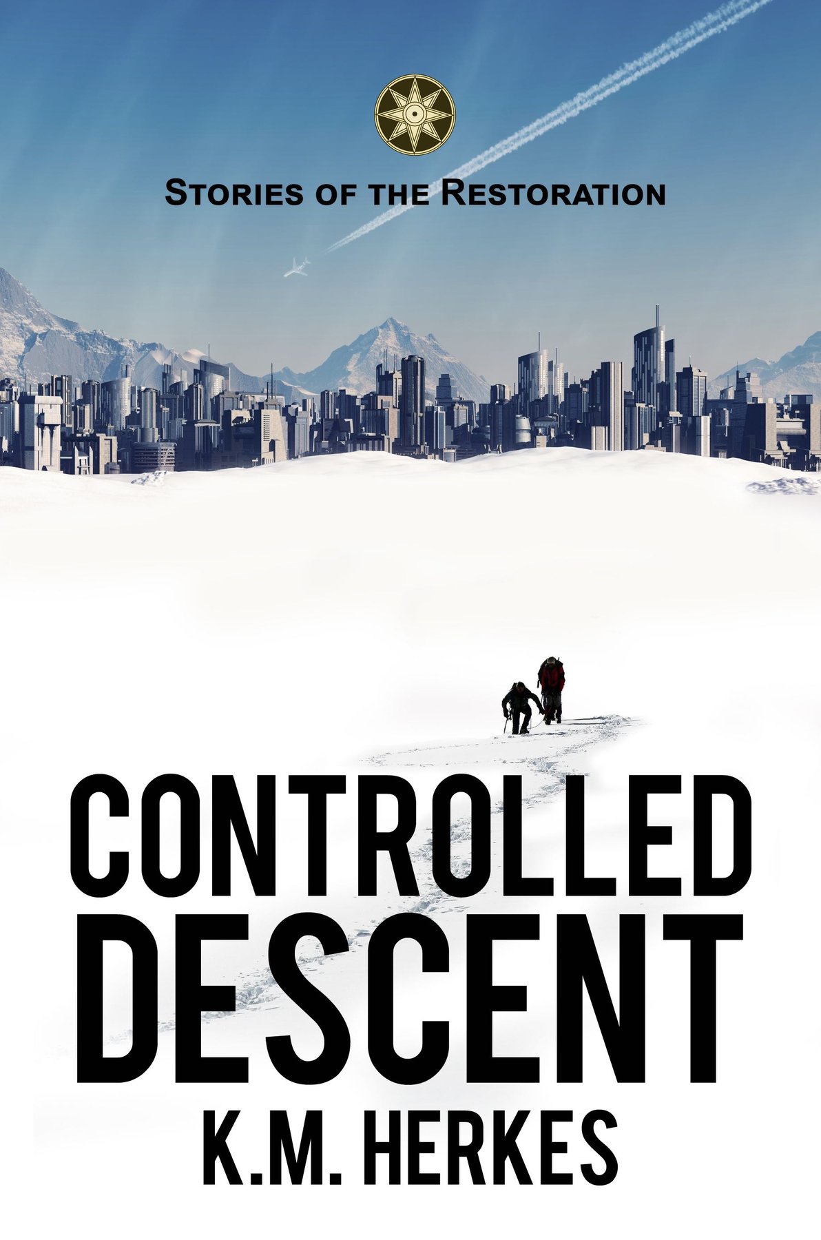 Cover of Controlled Descent
