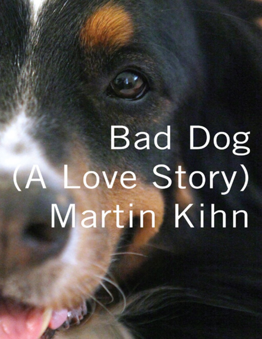Cover of Bad Dog