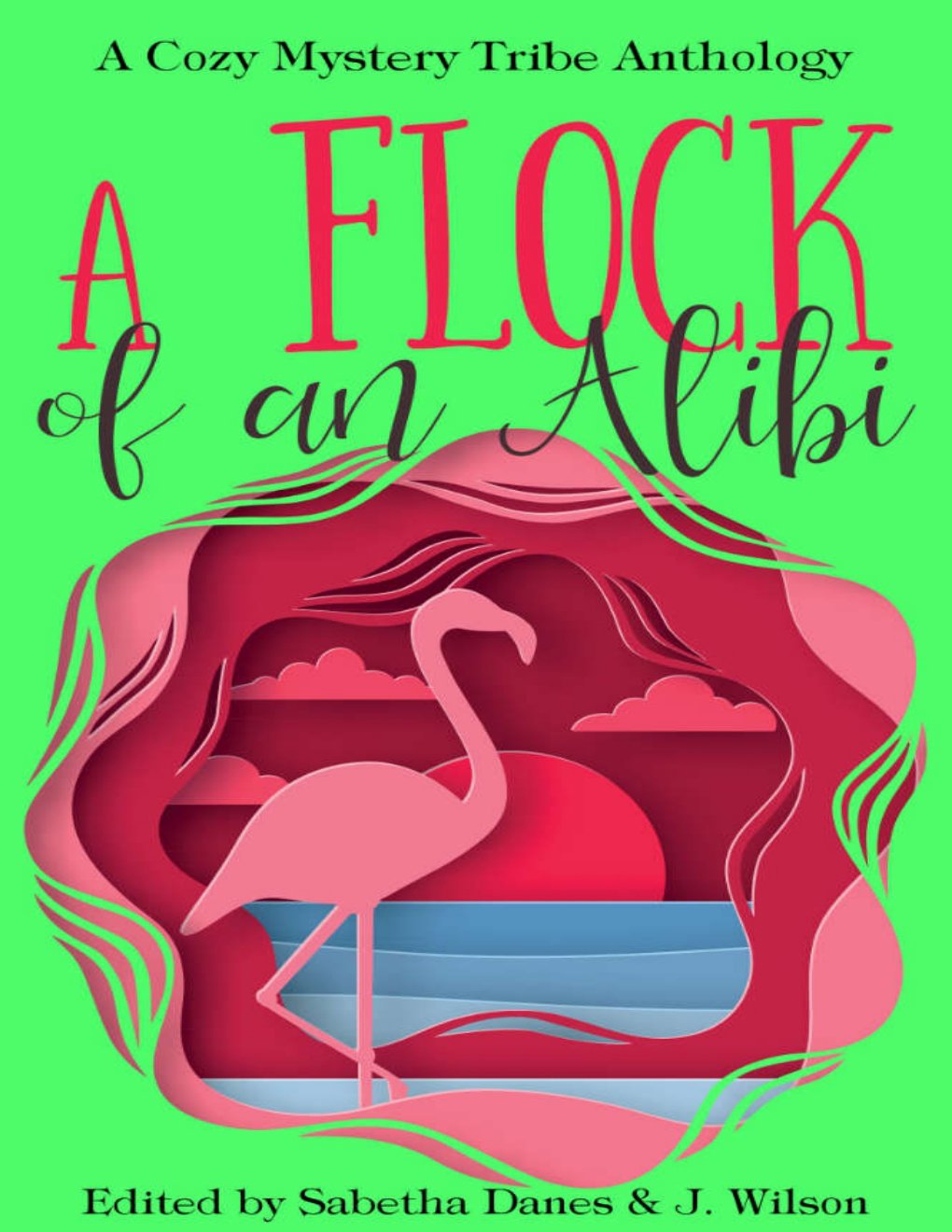 Cover of A Flock of an Alibi (2007)