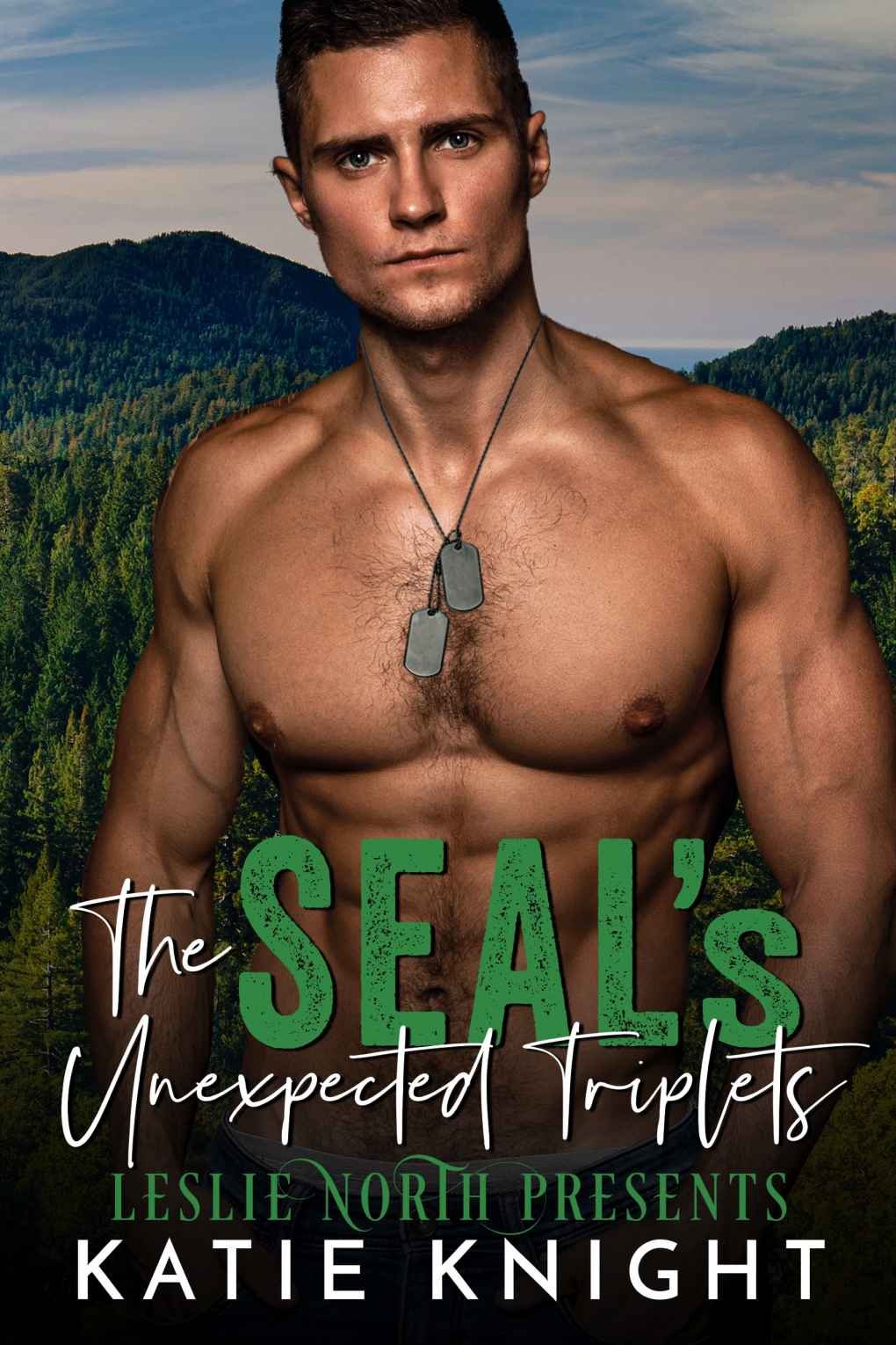Cover of The SEAL's Unexpected Triplets