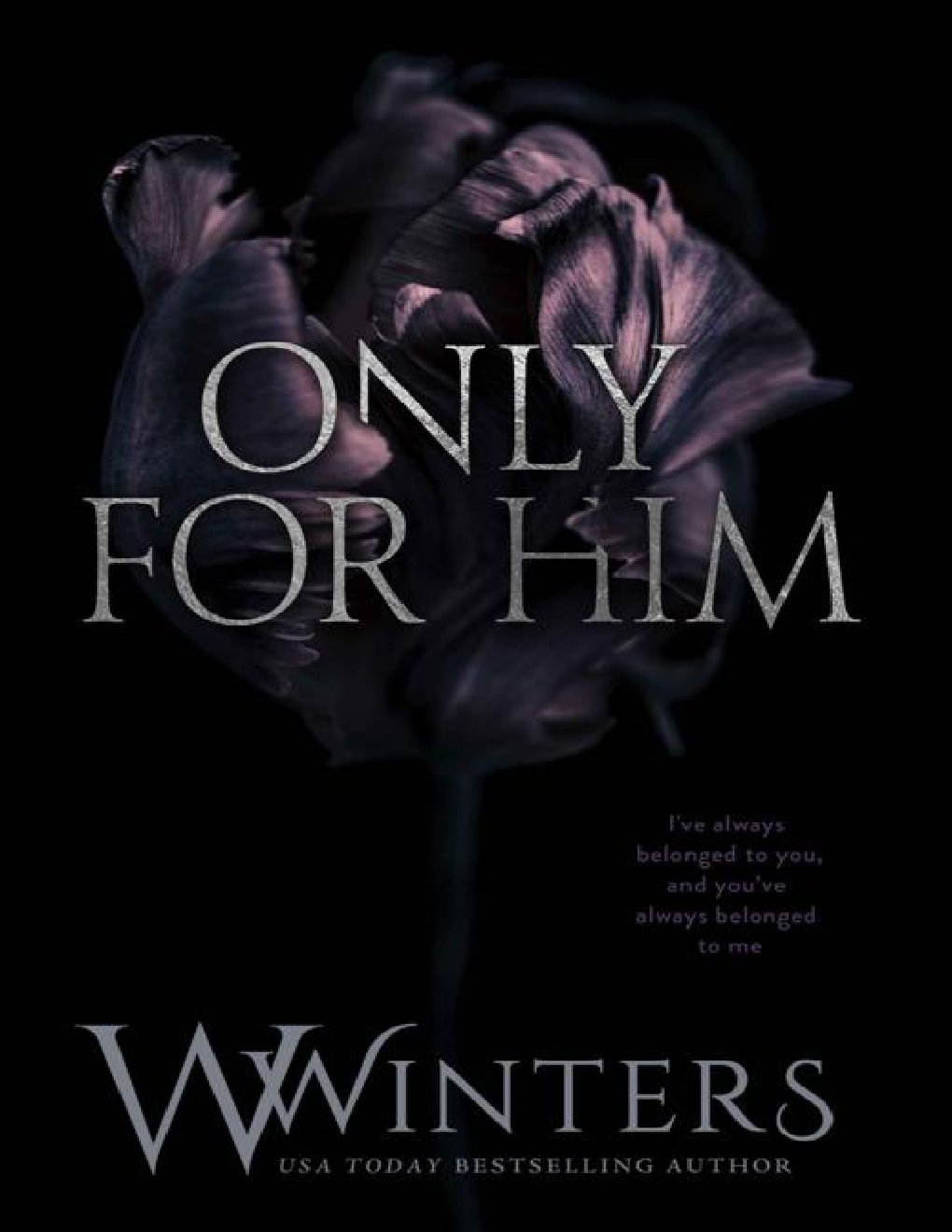 Cover of Only For Him