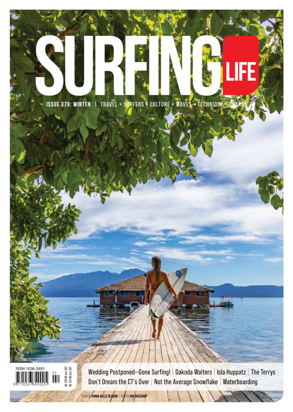 Cover of Wedding Postponed—Gone Surfing!
