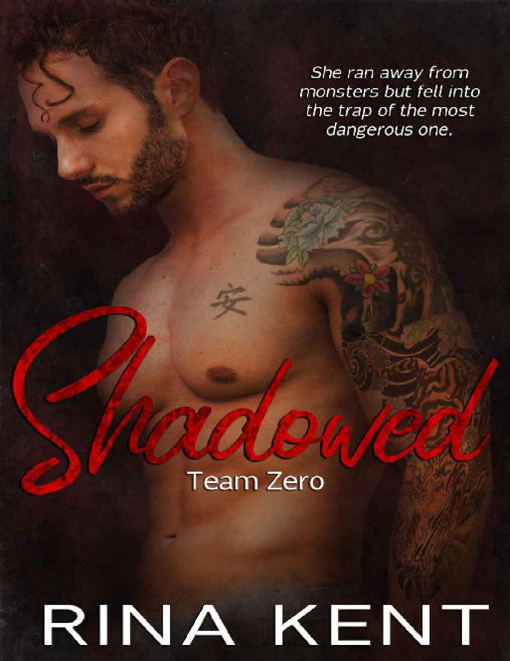 Cover of Shadowed: A Hitman Mafia Romance (Team Zero Book 4)