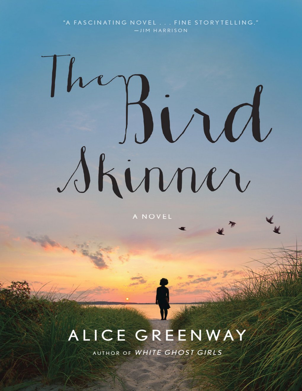 Cover of The Bird Skinner (2014)