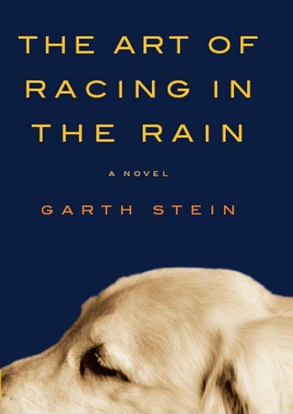 Cover of The Art of Racing in the Rain