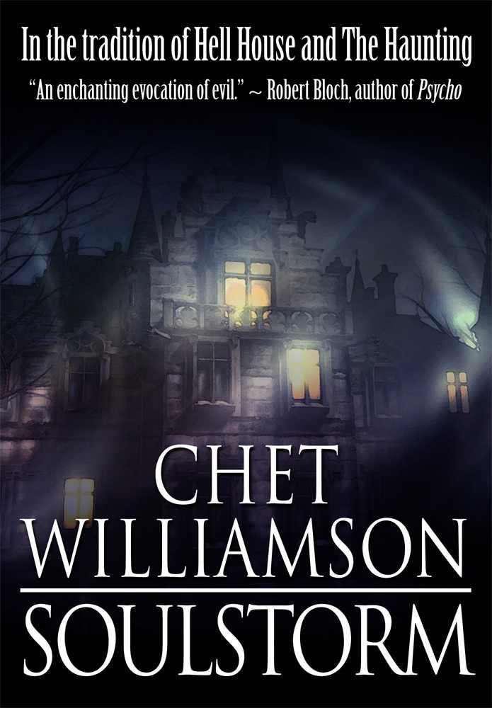 Cover of Soulstorm