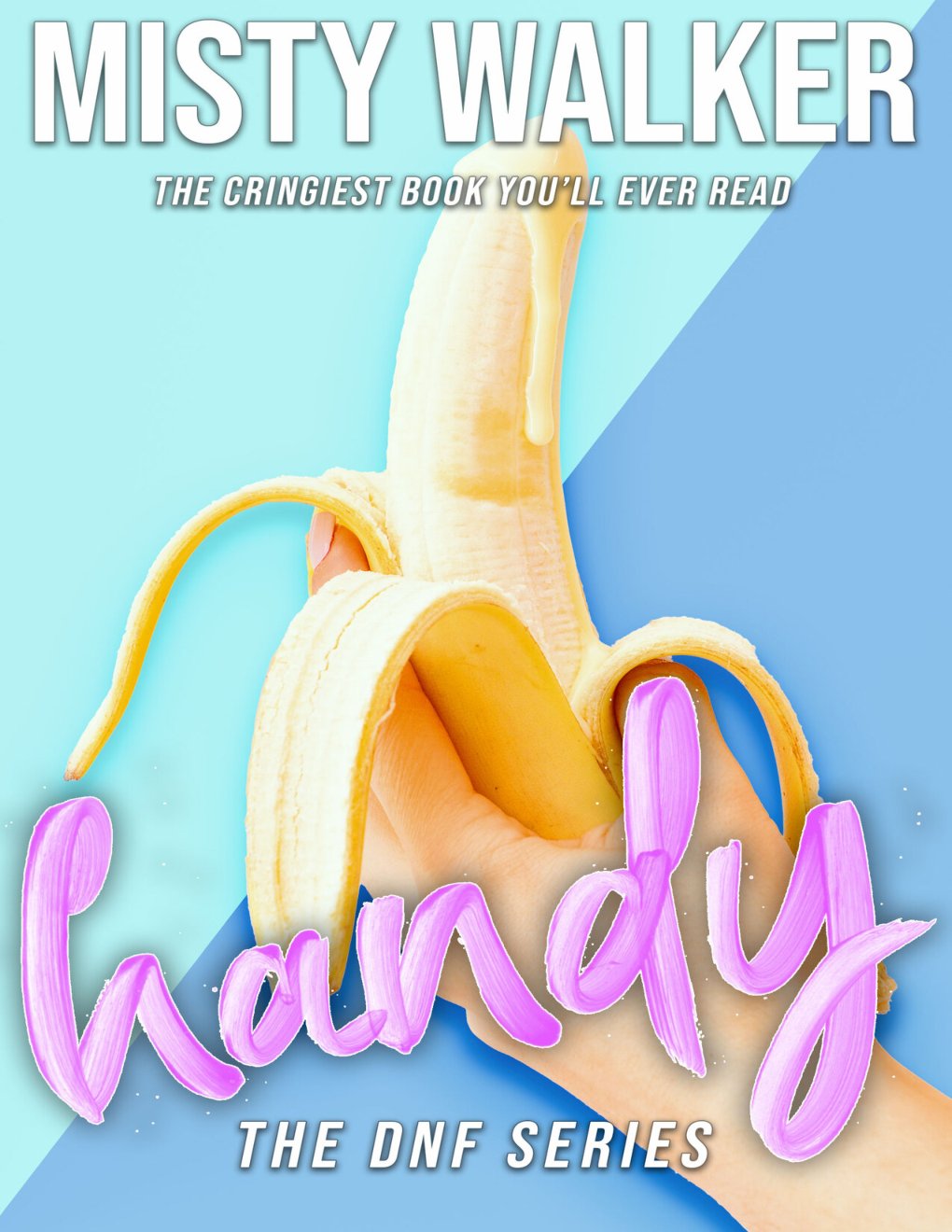 Cover of Handy: DNF Bookstore: A Shared World