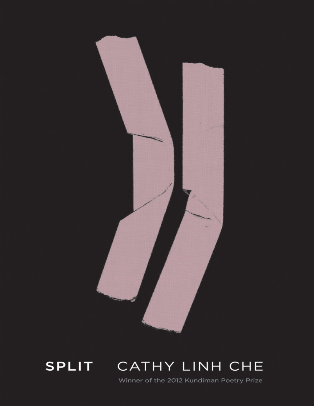 Cover of Split