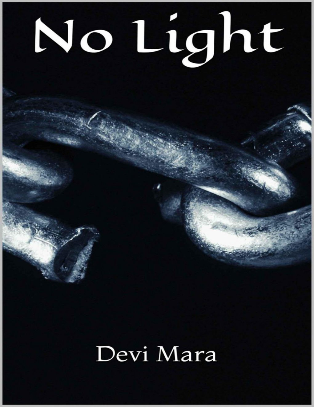 Cover of No Light