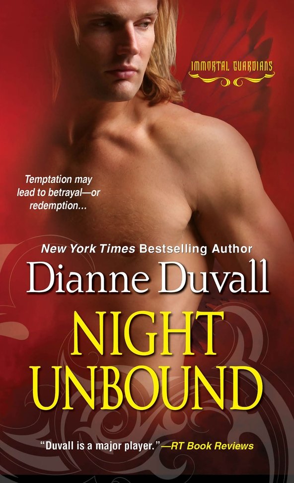 Cover of Night Unbound