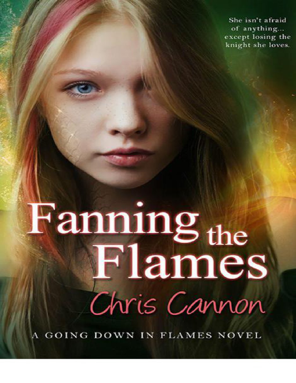 Cover of Fanning the Flames