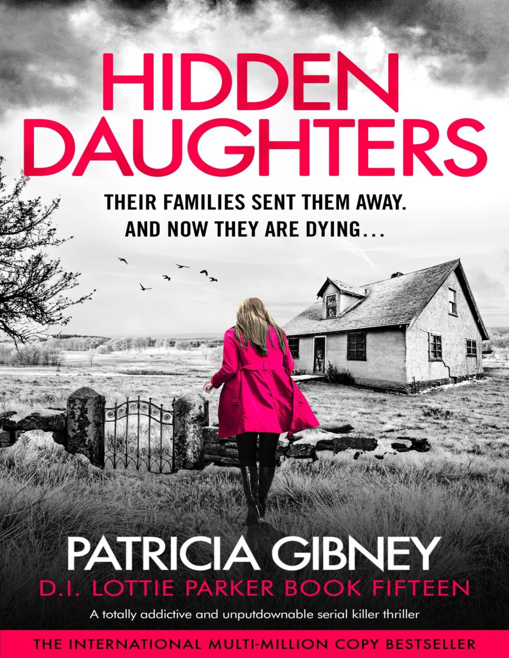 Cover of Hidden Daughters: A totally addictive and unputdownable serial killer thriller (Detective Lottie Parker Book 15)