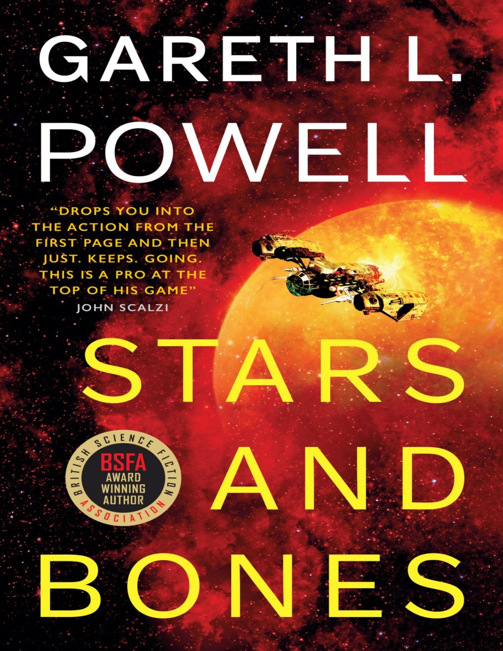 Cover of Stars and Bones