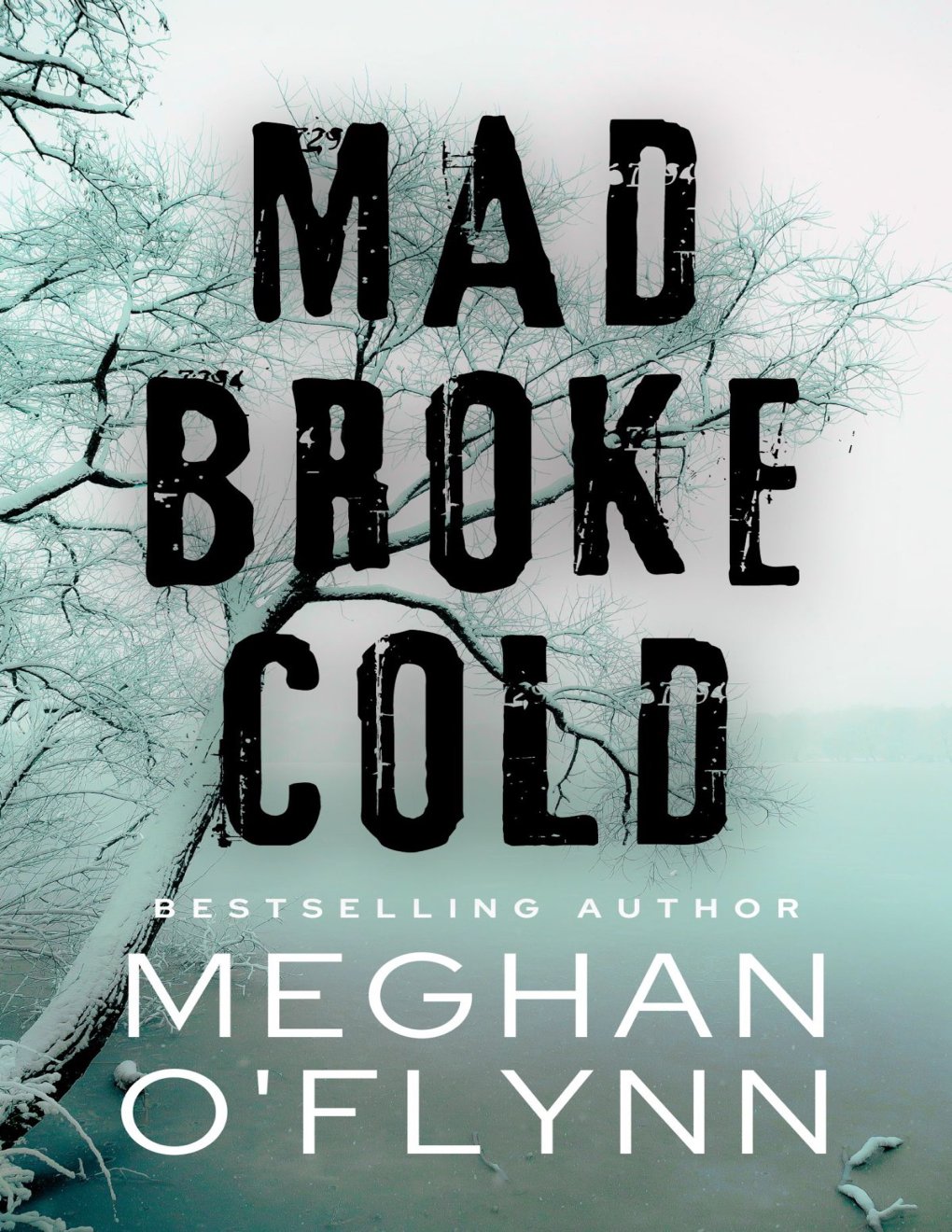 Cover of Mad Broke Cold