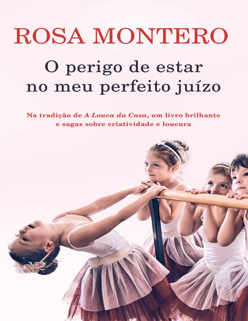 Cover of O perigo de estar no meu perfeito juízo