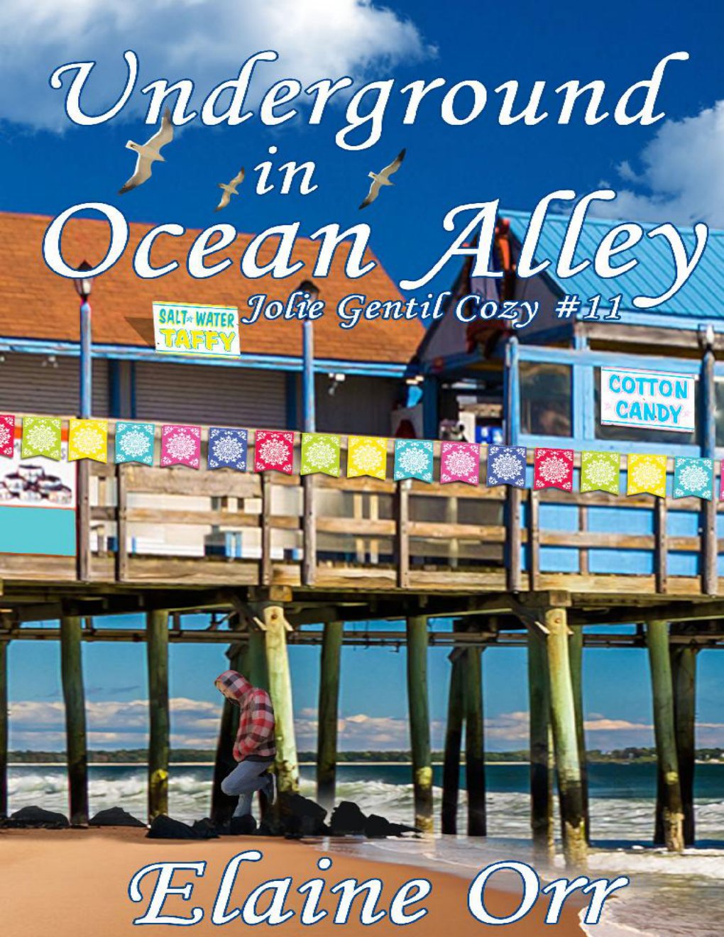 Cover of Underground in Ocean Alley (1993)