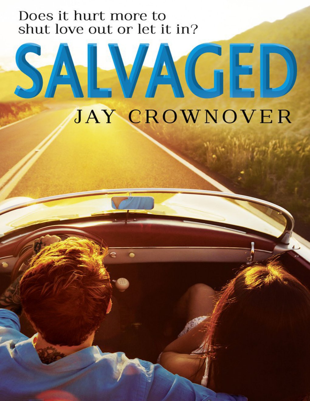 Cover of • Salvaged (2000)