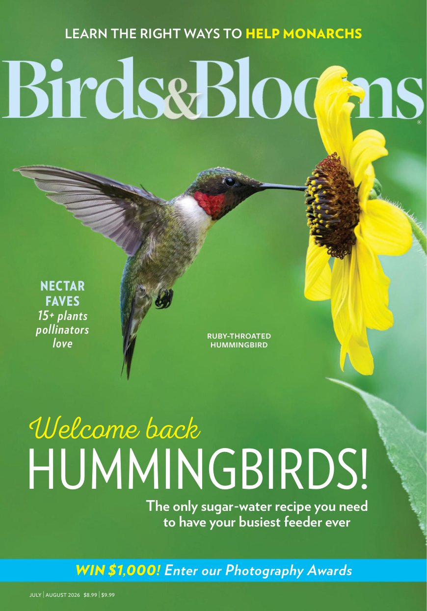 Cover of HUMMINGBIRDS!