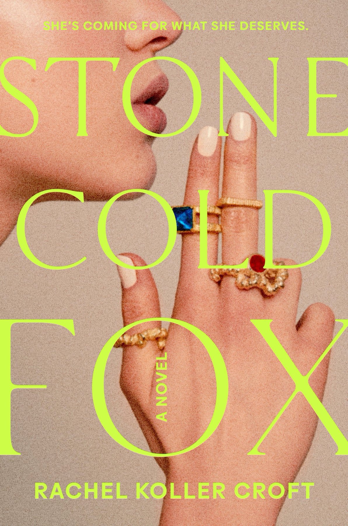 Cover of Stone Cold Fox