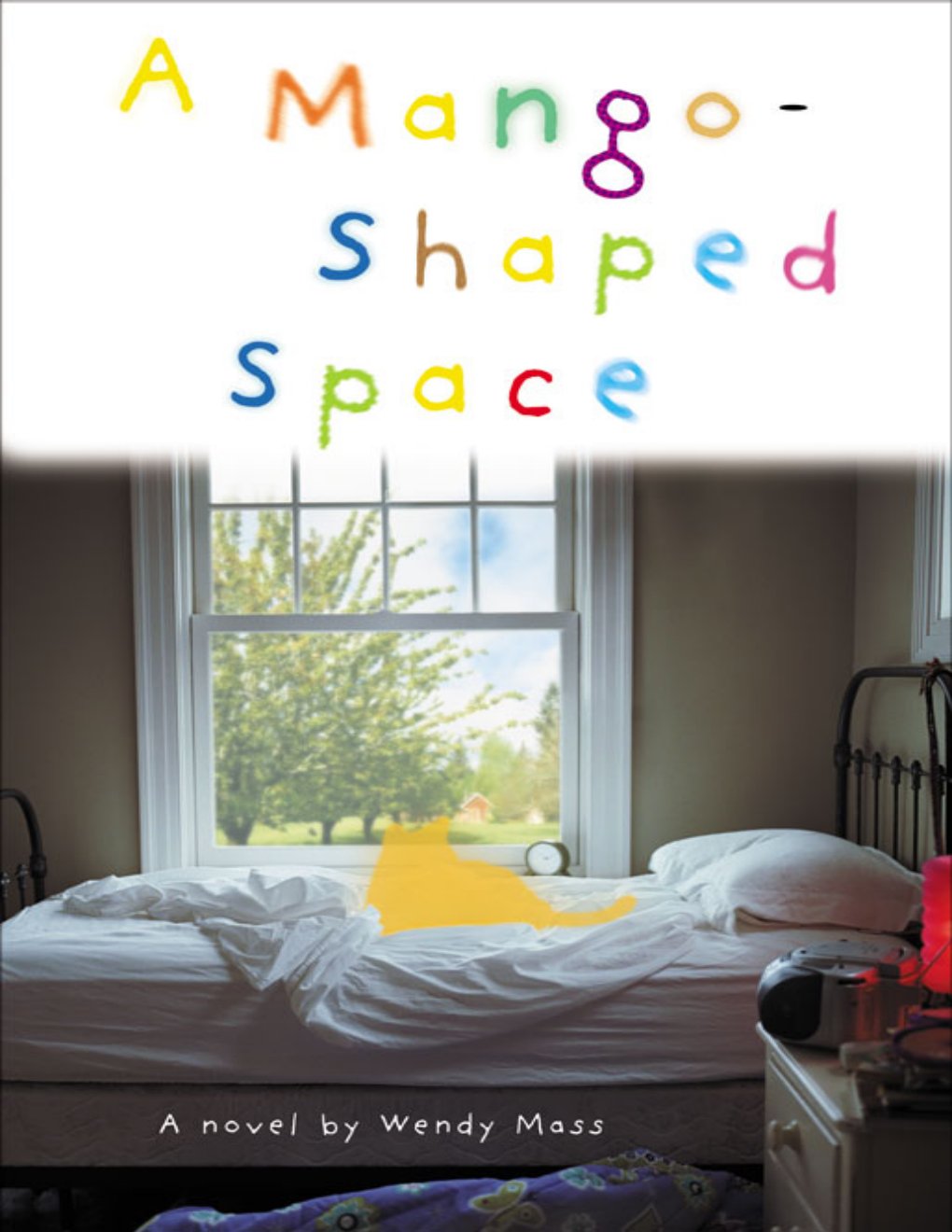 Cover of A Mango-Shaped Space