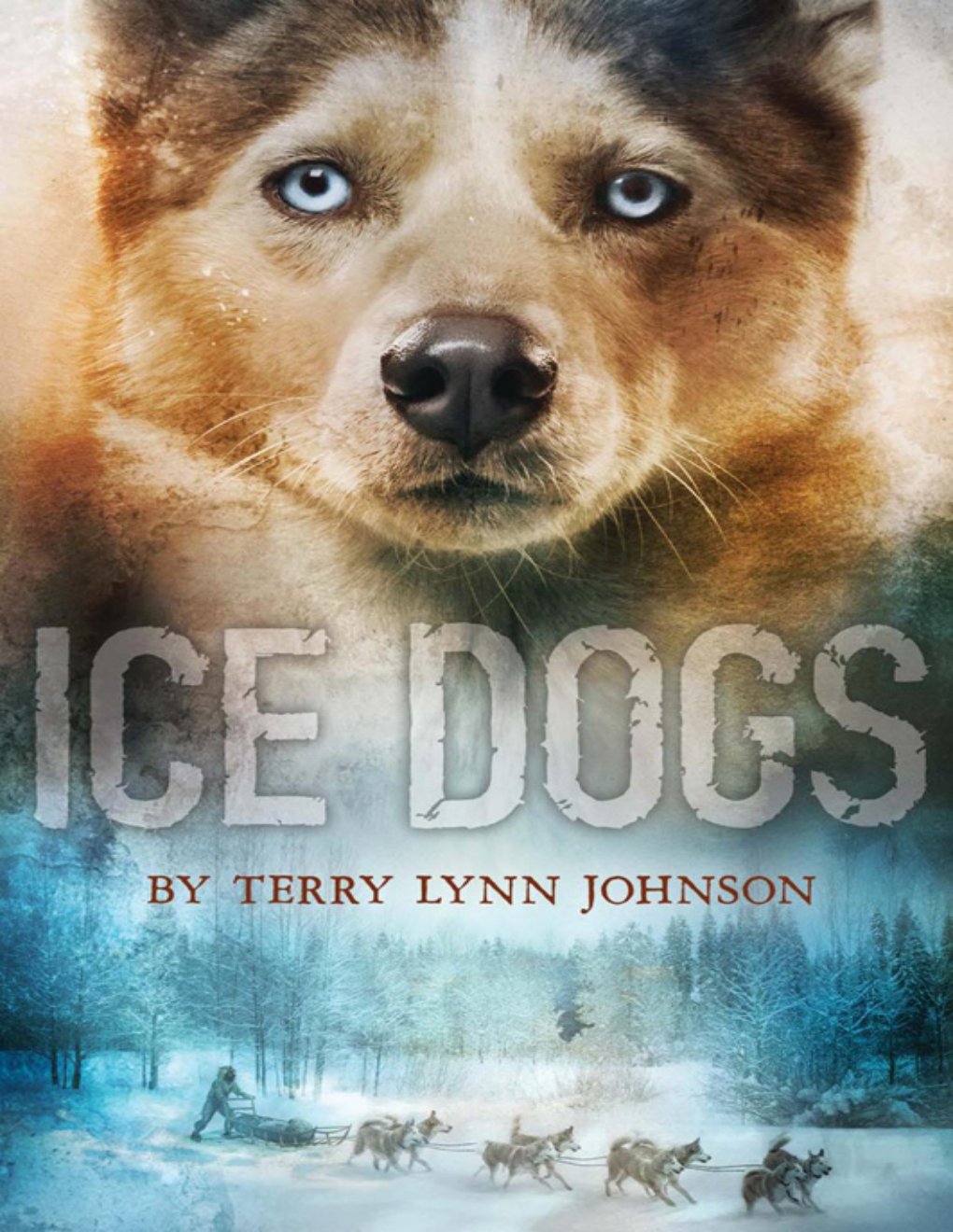 Cover of Ice Dogs
