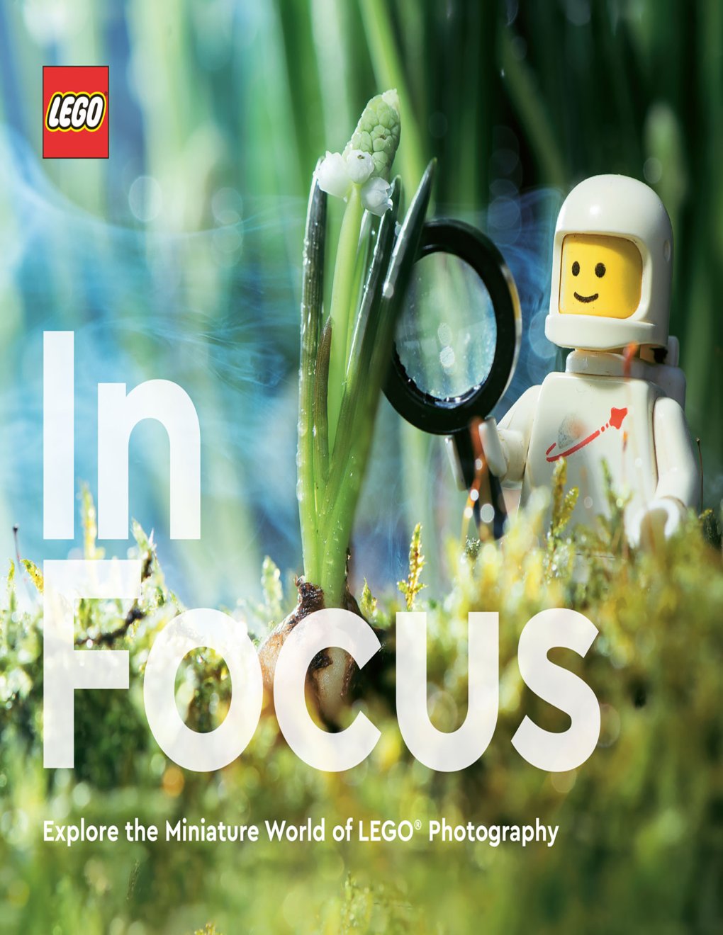 Cover of LEGO In Focus