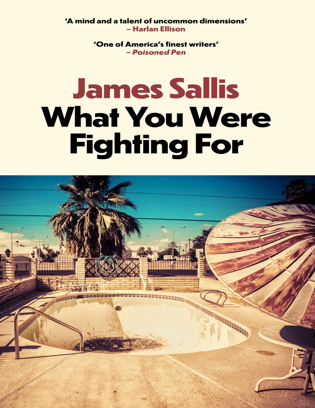 Cover of What You Were Fighting For