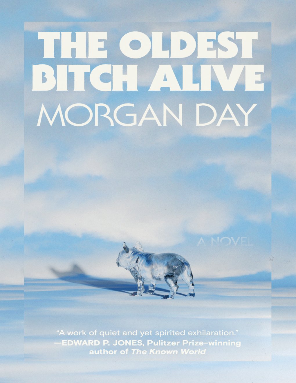 Cover of The Oldest Bitch Alive