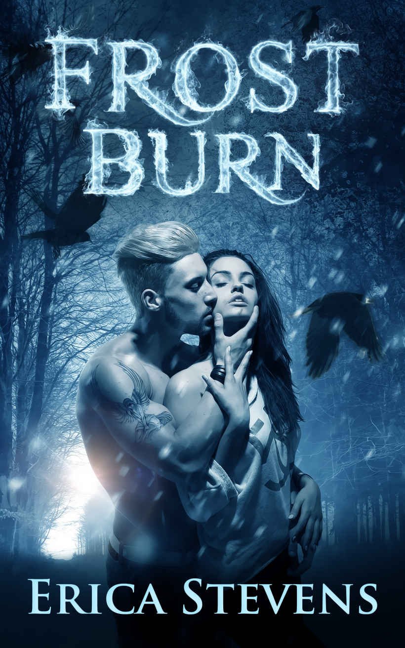 Cover of Frost Burn