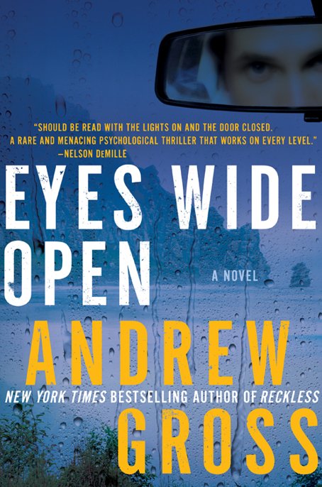 Cover of Eyes Wide Open: A Novel