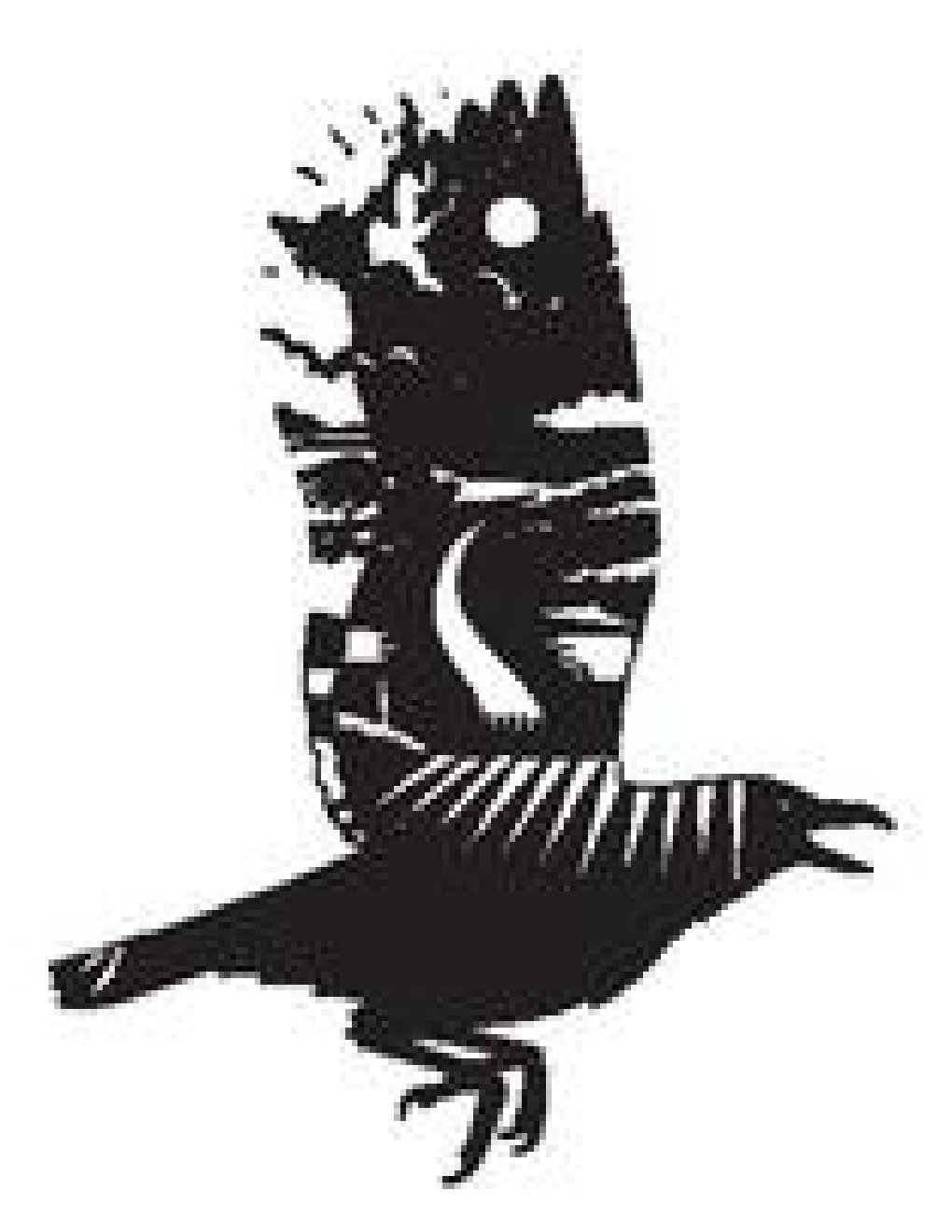 Cover of The Crow Road