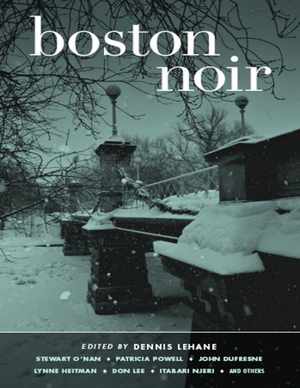 Cover of Boston Noir