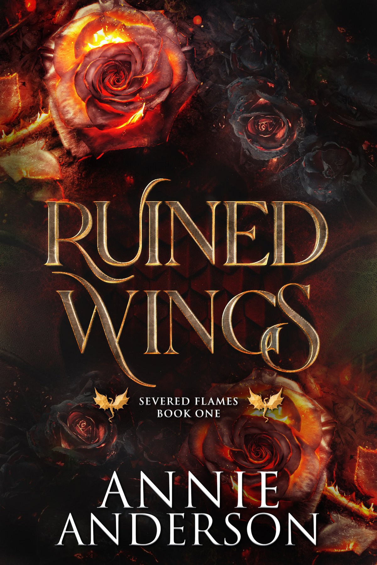 Cover of Ruined Wings (2024)
