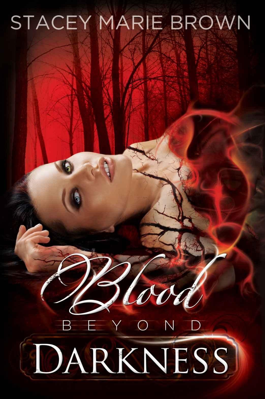 Cover of Blood Beyond Darkness (2014)